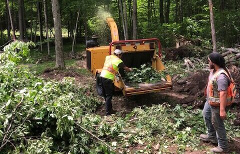Crew from M. Riddle Excavating clearing brush and feeding branches into a wood chipper during a land clearing project in Ontario.
