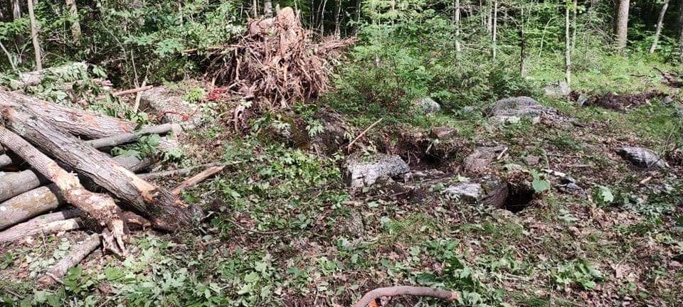 M. Riddle Excavating - Land Clearing Services