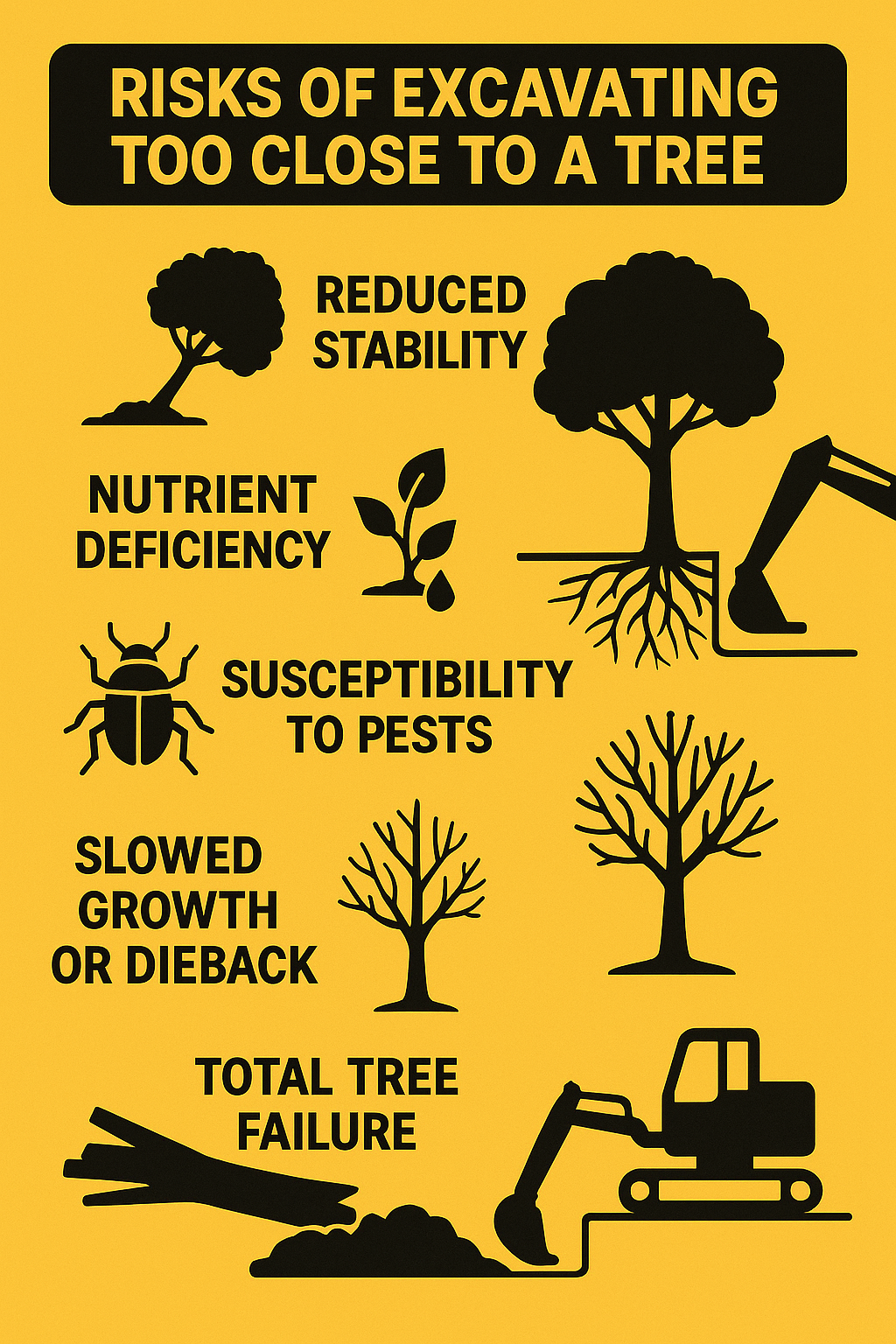 Infographic on risks of excavating too close to trees